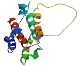 Interferon Alpha 4 (IFNa4) Interferon Alpha 4 (IFNa4)