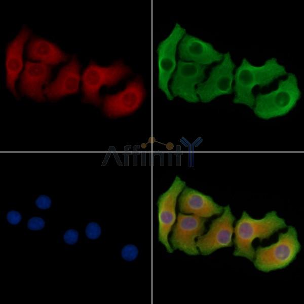 Валидация Affinity DF8397 - 20270