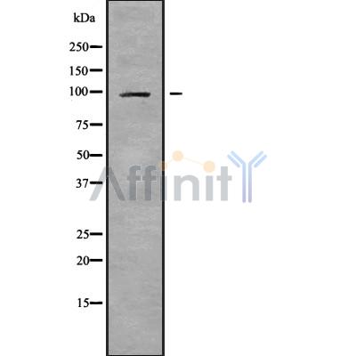 Валидация Affinity DF9410 - 21959