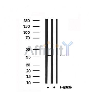 Валидация Affinity AF7672 - 4354