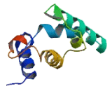 Interferon Alpha Inducible Protein 27 (IFI27) Interferon Alpha Inducible Protein 27 (IFI27)