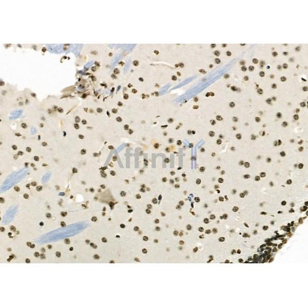 Валидация Affinity DF9720 - 22514