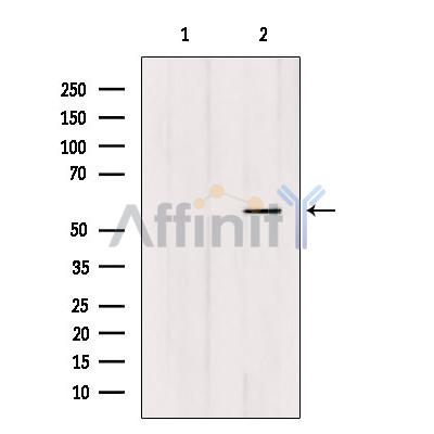 Валидация Affinity DF3252 - 14095