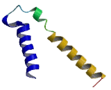 Gamma-Aminobutyric Acid A Receptor Pi (gABRp) Gamma-Aminobutyric Acid A Receptor Pi (gABRp)