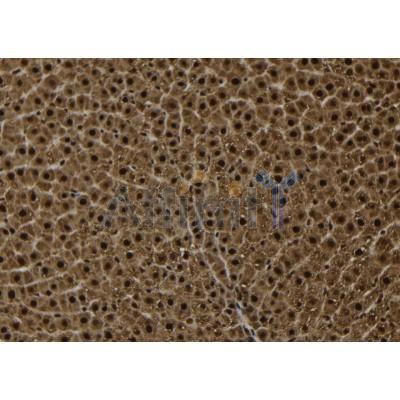 Валидация Affinity DF6853 - 18428