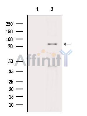 Валидация Affinity DF2642 - 13330