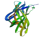 Leukocyte Immunoglobulin Like Receptor Subfamily A, Member 4 (LILRA4) Leukocyte Immunoglobulin Like Receptor Subfamily A, Member 4 (LILRA4)