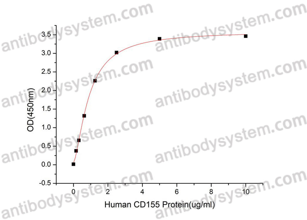 Валидация активности AntibodySystem AHH72401