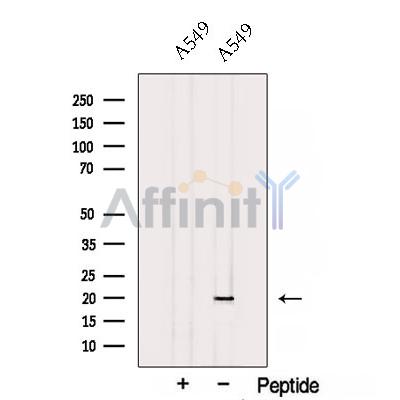 Валидация Affinity DF12758 - 7441