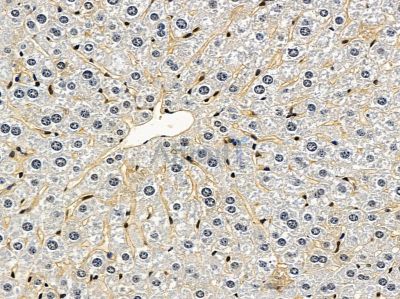 Валидация Affinity DF3900 - 15071