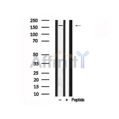 Валидация Affinity AF7715 - 4407