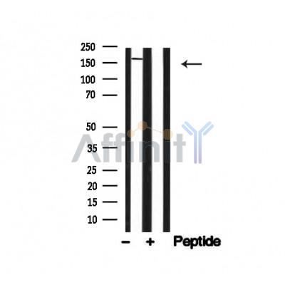 Валидация Affinity AF4722 - 2339
