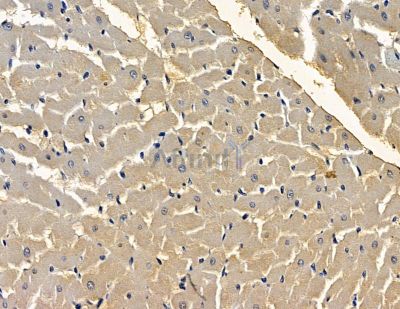 Валидация Affinity DF15944 - 12457