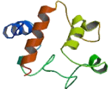 Cytochrome C, Somatic (CYCS)