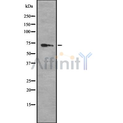 Валидация Affinity DF8655 - 20618