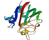 Angiopoietin Like Protein 1 (ANGPTL1)