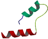 Olfactory Receptor 7D4 (OR7D4) Olfactory Receptor 7D4 (OR7D4)