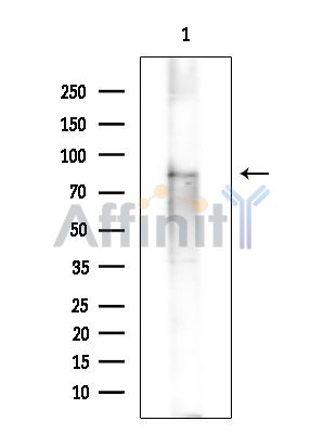 Валидация Affinity DF9751 - 22570