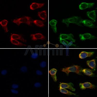 Валидация Affinity AF5287 - 2823