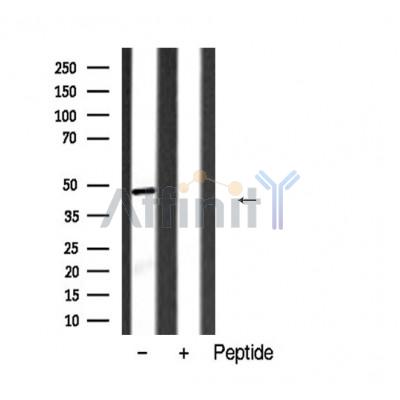 Валидация Affinity AF5473 - 3139
