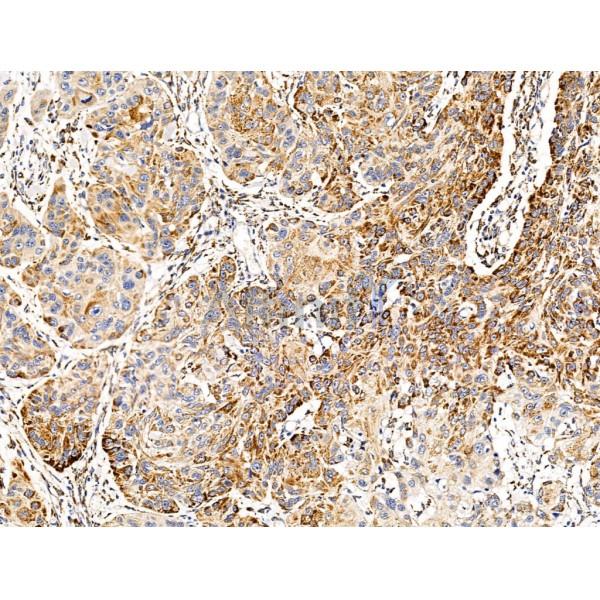 Валидация Affinity DF13545 - 8977