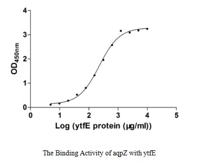 Функциональный ИФА: связывание aqpZ с белком YtfE E. coli