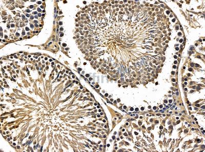 Валидация Affinity DF13860 - 9576