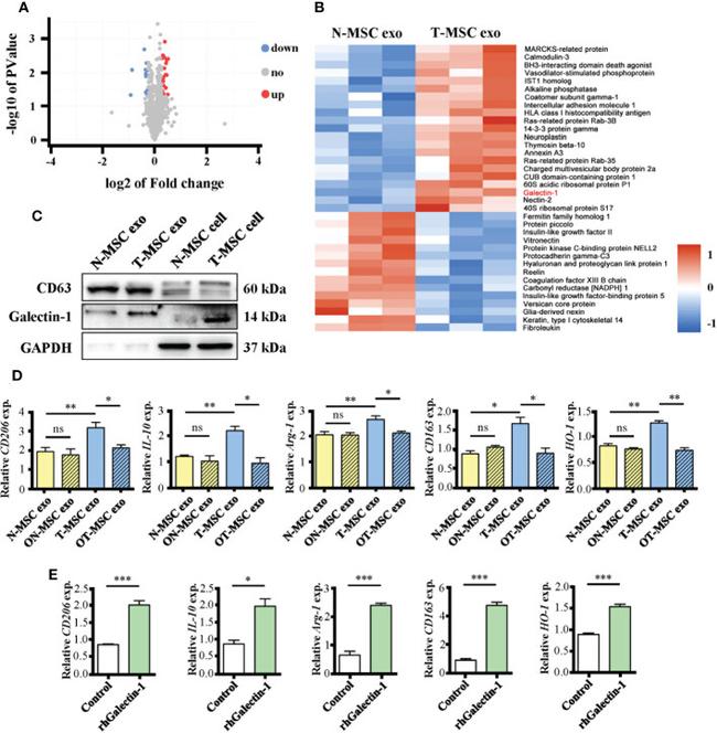 Валидация AssayVector ARM1323(873)