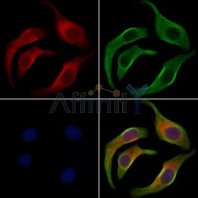 Валидация Affinity AF7798 - 4516