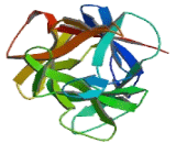 Stromal Cell Derived Factor 2 Like Protein 1 (SDF2L1) Stromal Cell Derived Factor 2 Like Protein 1 (SDF2L1)