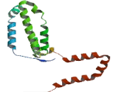 Interleukin 10 (IL10) Interleukin 10 (IL10)