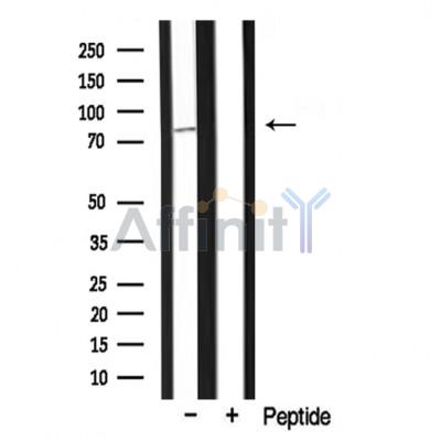 Валидация Affinity DF3329 - 14190