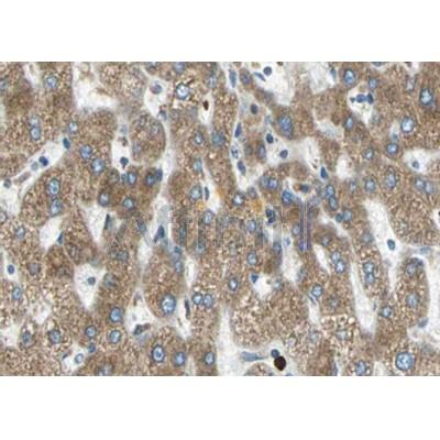 Валидация Affinity AF5189 - 2628