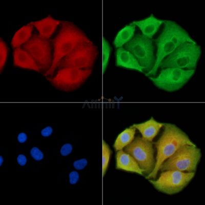 Валидация Affinity DF13794 - 9468