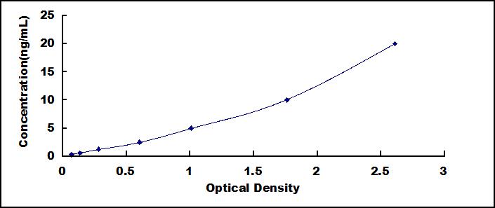 38254