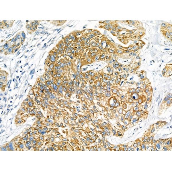 Валидация Affinity AF5107 - 2463