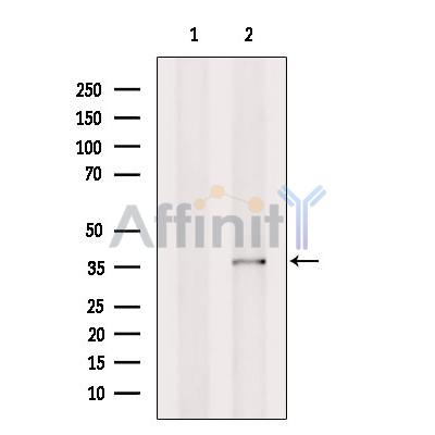 Валидация Affinity DF10254 - 5846