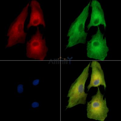 Валидация Affinity DF14046 - 9823