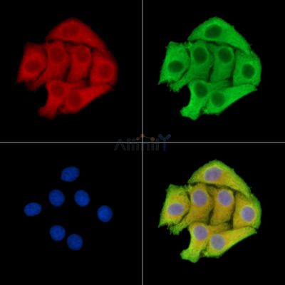 Валидация Affinity DF15371 - 11690