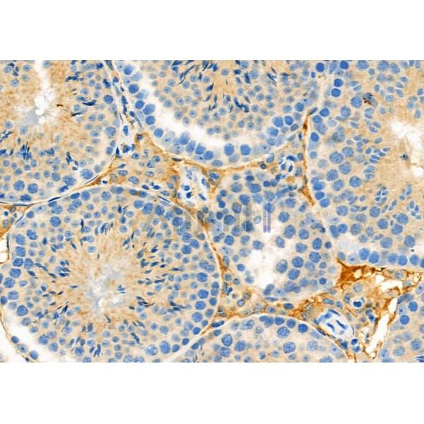 Валидация Affinity AF9104 - 4875