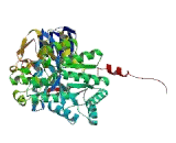 Dihydropyrimidinase Like Protein 5 (DPYSL5)
