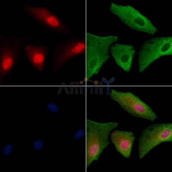 Валидация Affinity DF2332 - 12913