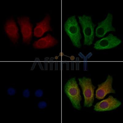 Валидация Affinity DF13487 - 8862