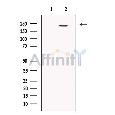 Валидация Affinity DF13250 - 8316
