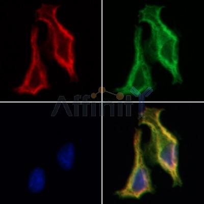 Валидация Affinity DF3564 - 14516