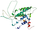Lysophosphatidic Acid Receptor 2 (LPAR2) Lysophosphatidic Acid Receptor 2 (LPAR2)