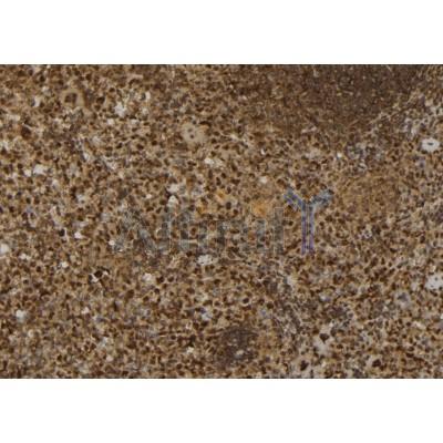 Валидация Affinity DF8014 - 19843