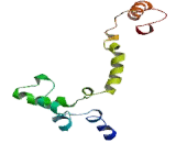 Calcium Channel, Voltage Dependent, L-Type, Alpha 1S Subunit (CACNa1S) Calcium Channel, Voltage Dependent, L-Type, Alpha 1S Subunit (CACNa1S)