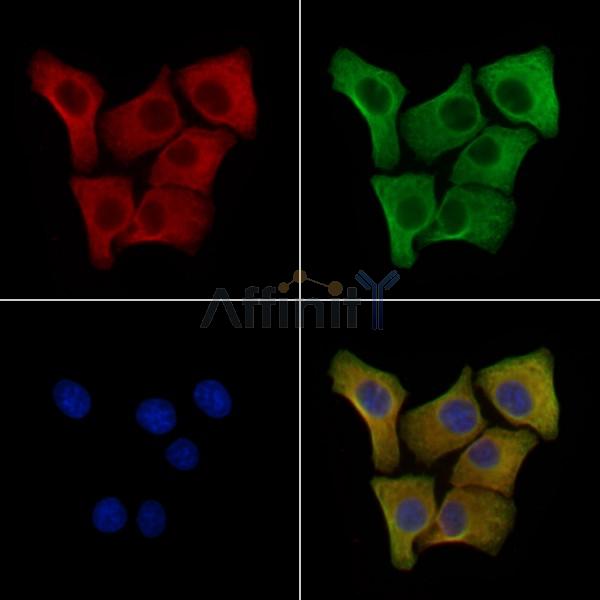 Валидация Affinity AF6693 - 3950