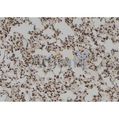 Валидация Affinity DF12084 - 6177